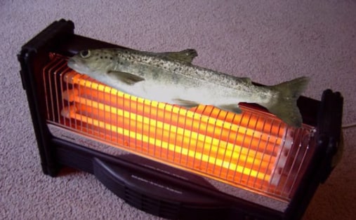 Fish on a Heater